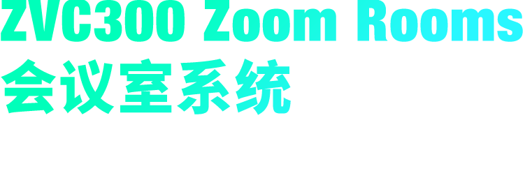 ZVC300 Zoom Rooms 聚会室系统