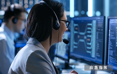 应急调理解决计划