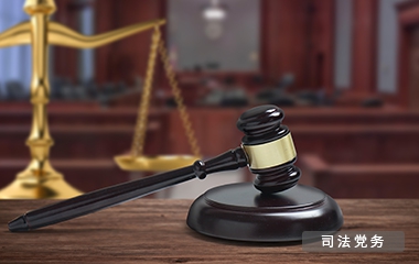 司法党务解决计划